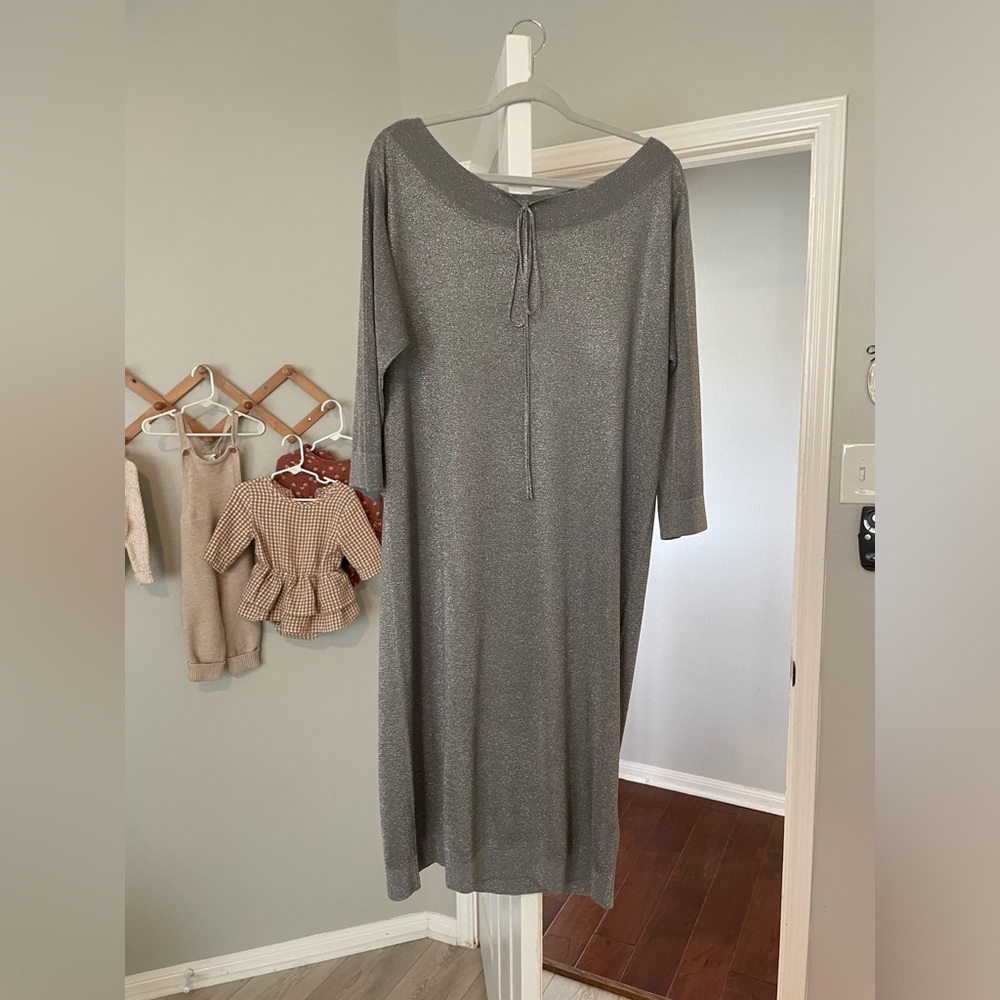 Women’s Zara Silver Dress
